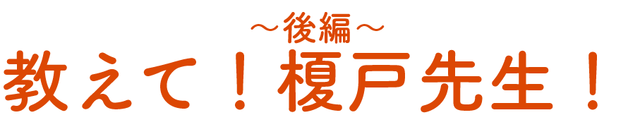 ������ԏ�� �����ơ��ݸ�������